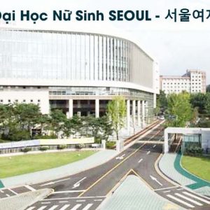 truong-dai-hoc-nu-sinh-seoul-4